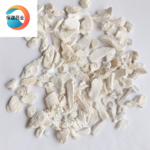 龙骨龙骨小颗粒下脚料有蜂窝重在品质产地甘肃