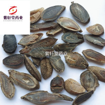 郁金广郁金斜片统货实物拍摄产地广西地道药材