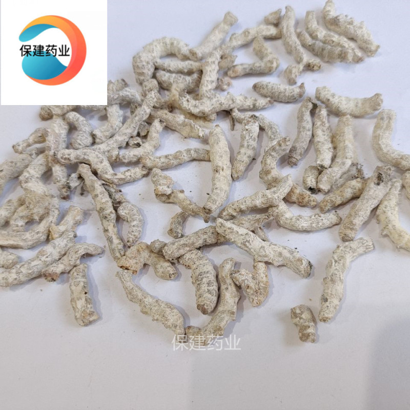 僵蚕选货白僵蚕产地云南1000g中药材批发规
