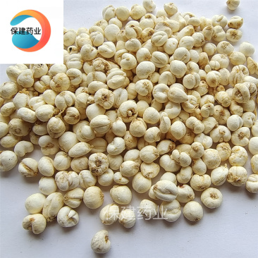 贝母小贝母小贝母0.7选货优选品质产地直供