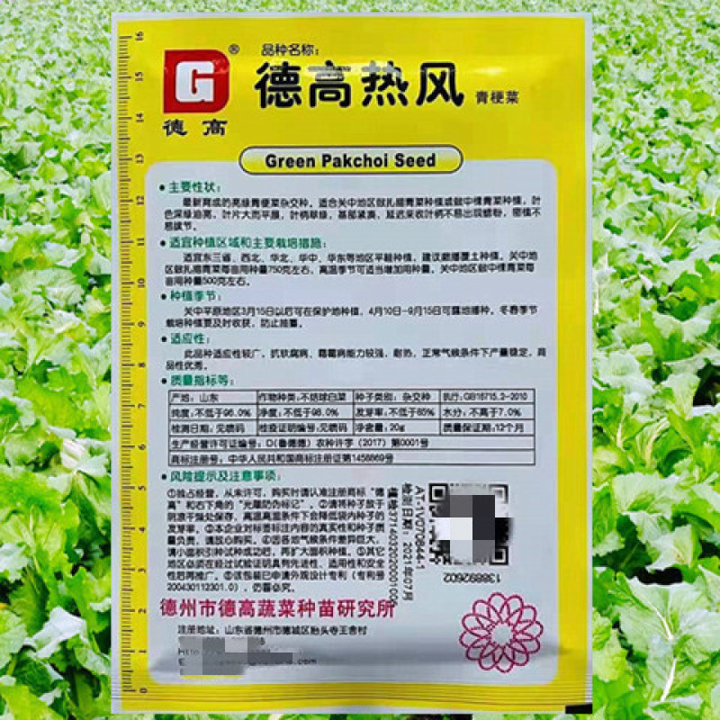 小白菜种子德高热风青梗菜高产抗病耐寒耐抽苔油绿优质小青菜