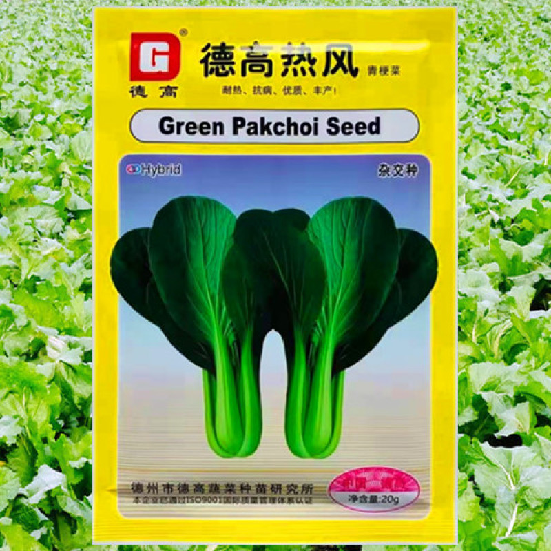 小白菜种子德高热风青梗菜高产抗病耐寒耐抽苔油绿优质小青菜