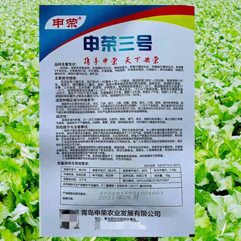 大白菜黄心菜种子申荣三号高产抗病耐重茬耐贮运山东白菜蔬菜