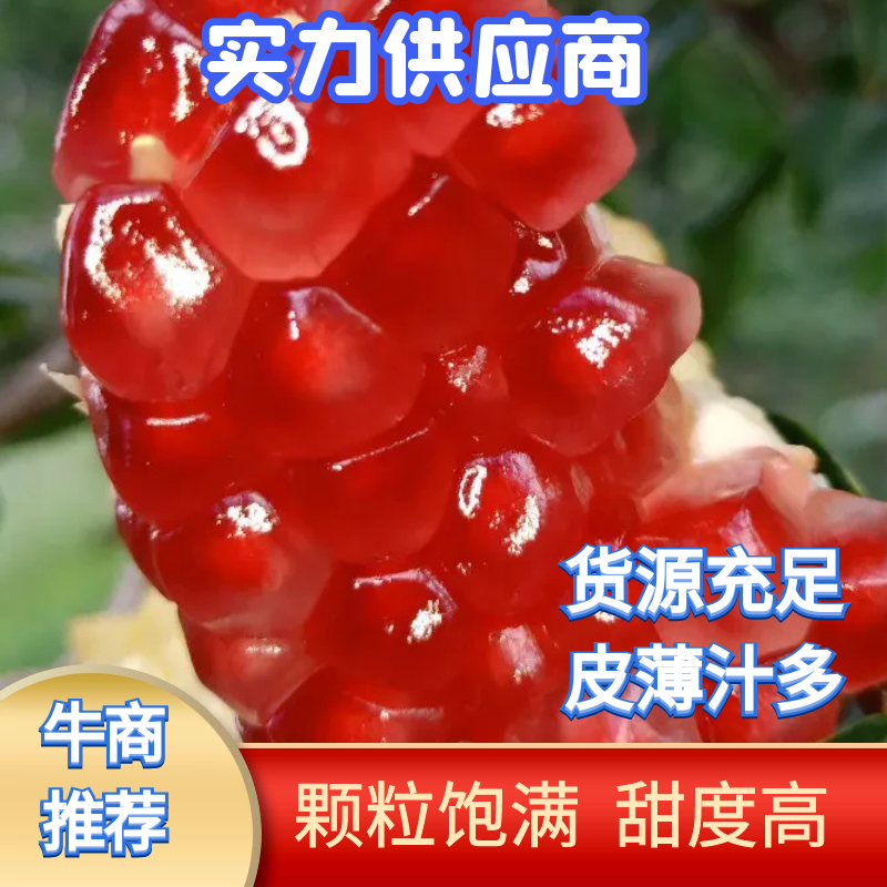 四川会理突尼斯软籽石榴，现摘当季水果5斤8斤包邮，坏果包陪