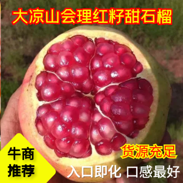 四川会理突尼斯软籽石榴，入口即化口感好，保质保量，货源充足。