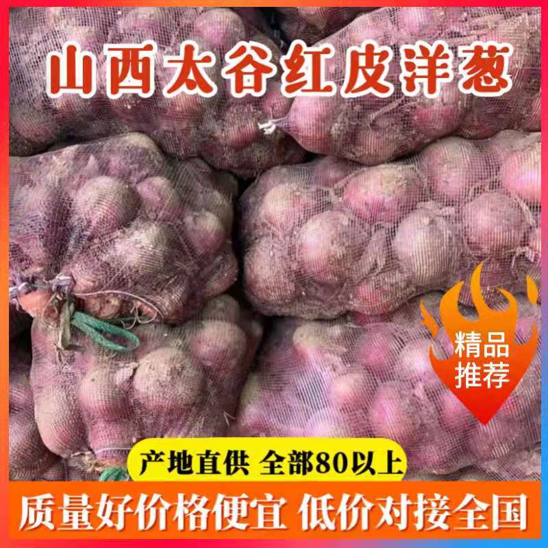山西太谷，优质红皮洋葱，大量上市中，全部80以上