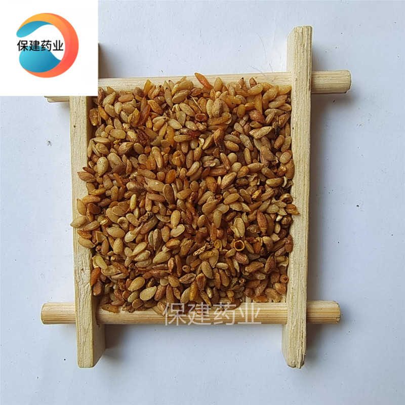 柏子仁新货好统货颜色好保建药业重在品质产地