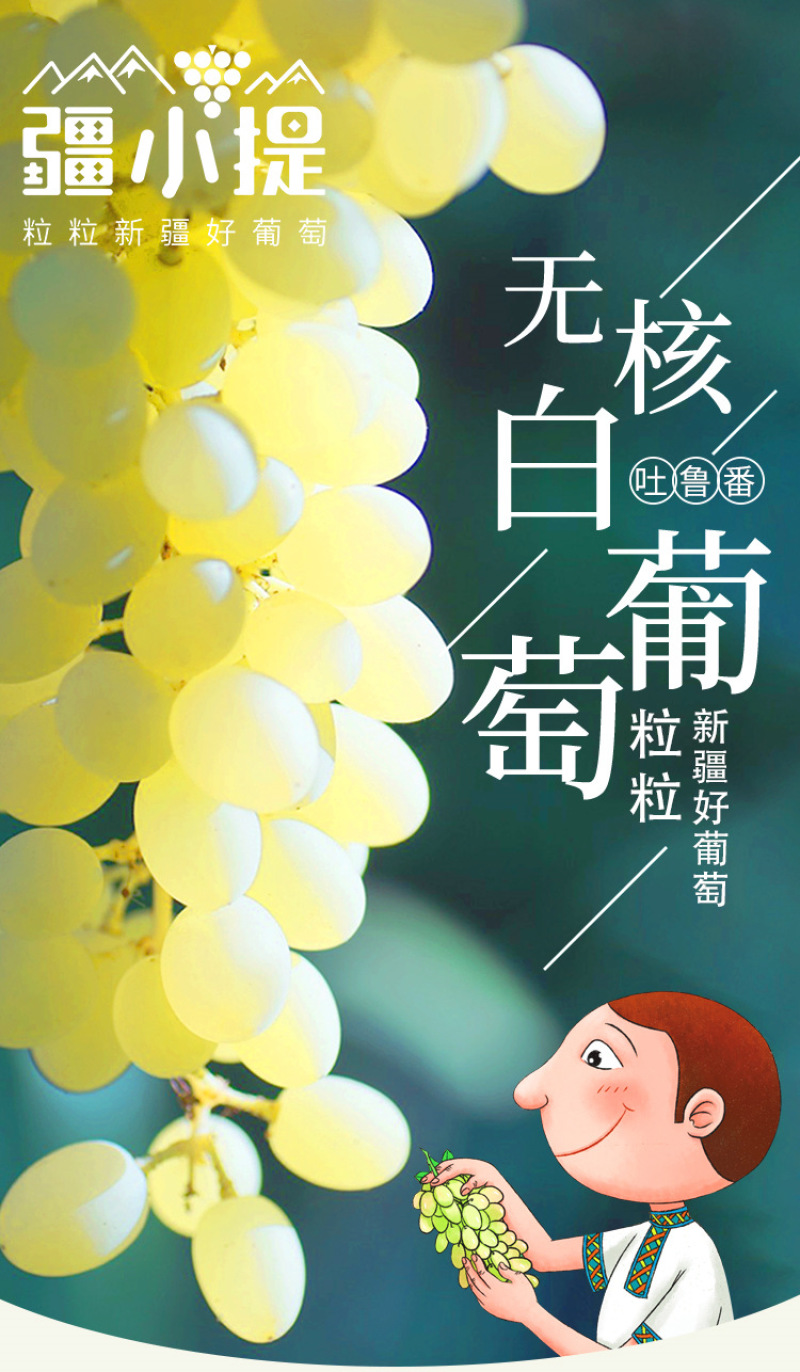 顺丰冷链包邮新疆吐鲁番无核白葡萄，无籽新疆葡萄