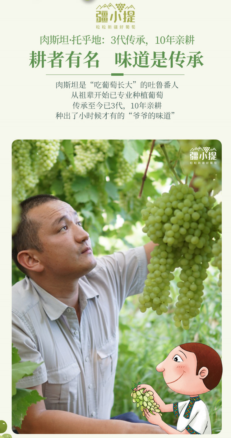 顺丰冷链包邮新疆吐鲁番无核白葡萄，无籽新疆葡萄