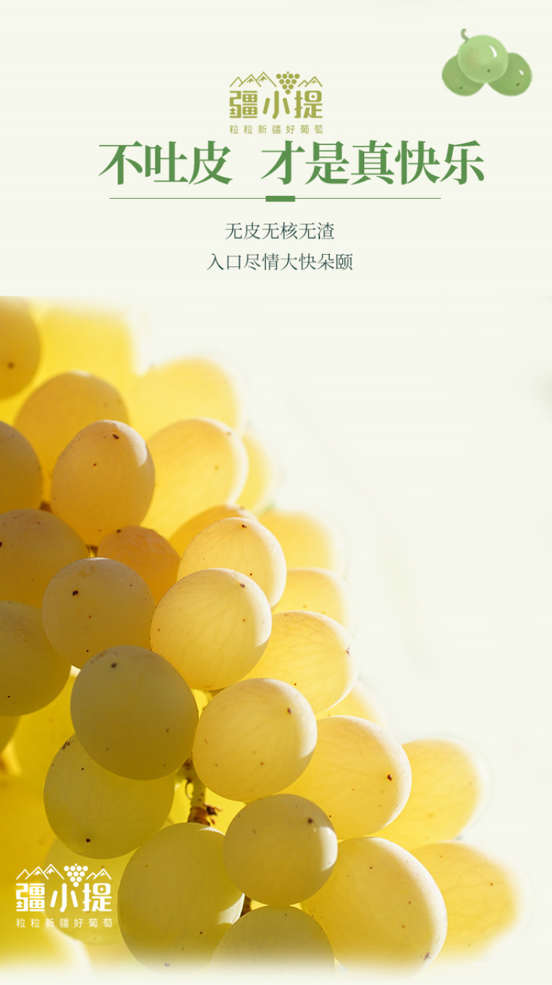 顺丰冷链包邮新疆吐鲁番无核白葡萄，无籽新疆葡萄
