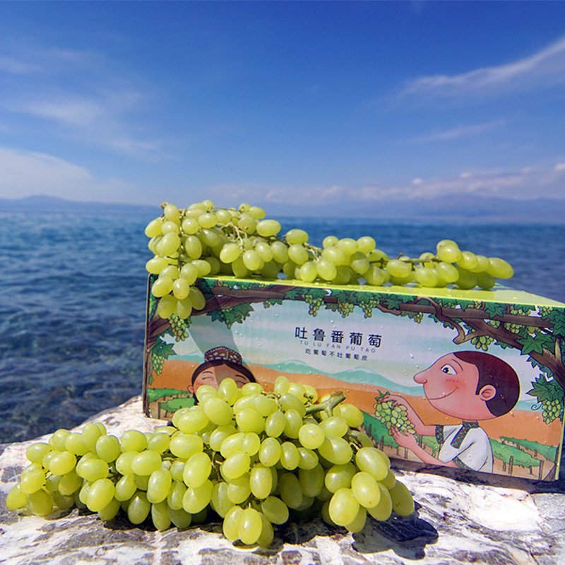 顺丰冷链包邮新疆吐鲁番无核白葡萄，无籽新疆葡萄