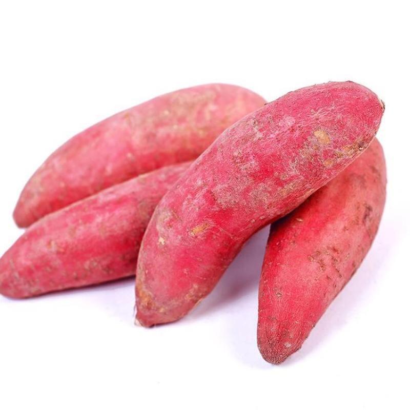 红薯
