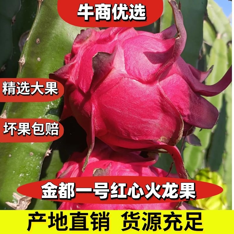 广西红心火龙果金都一号甜度高瓤红大量走货