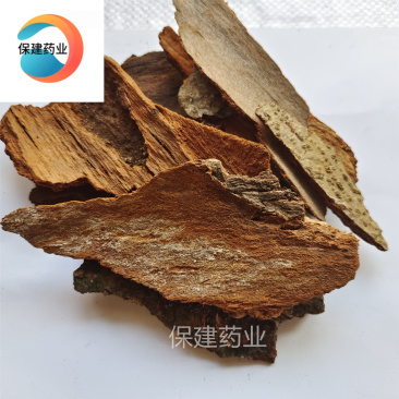 地枫皮大统地枫追地枫钻地枫产地广西壮族自治区