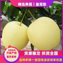 河北精品皇冠梨，果园直采直供，货源充足质量好，供货全国