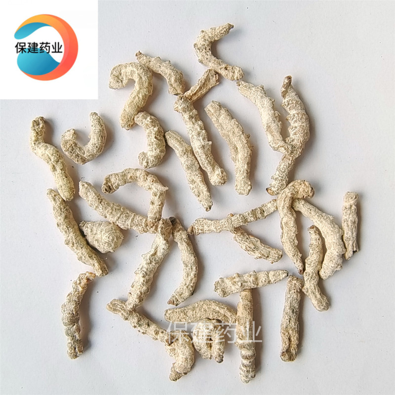 僵蚕选货白僵蚕产地云南1000g中药材批发规