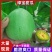 河北绿宝甜瓜脆甜爽口货源充足基地直发质量保证