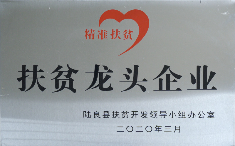 云南曦野农业-云南白藜蒿泥蒿芦蒿产地直发量大从优