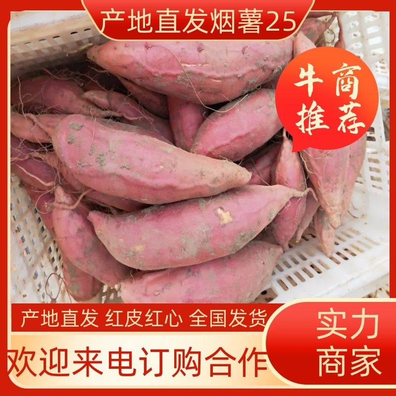 烤薯店专用，精品烟薯25糖化发货坏果包赔沟通好再下单