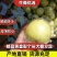 【热卖中】黄金梨口感甜脆个头大糖分足价格便宜产地一手货源