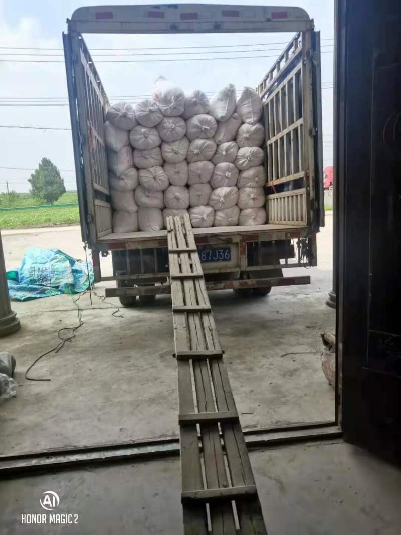 红薯粉丝，