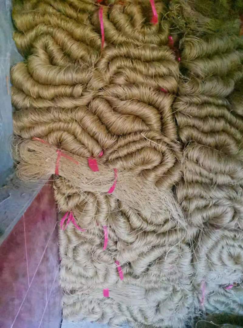 红薯粉丝，