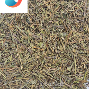 半枝莲半枝莲产地河南省发货前过筛新店开业