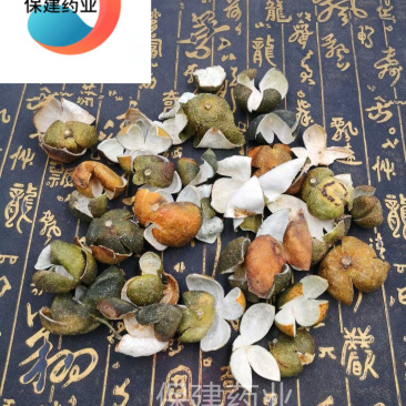 青皮四花青皮统个产地四川省中药材批发规格齐全