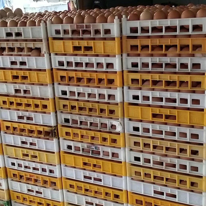 塑料鸭蛋托生产厂家塑料鸭蛋托规格42枚鸭蛋托