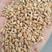 精选安徽小麦水分12.5左右，容重795+精品上市
