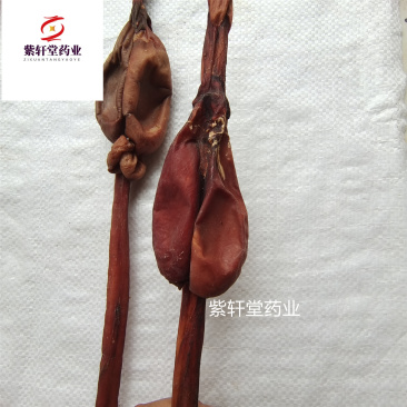 鹿鞭干鹿鞭整个泡酒料