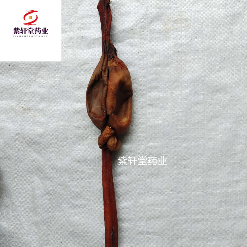 鹿鞭干鹿鞭整个泡酒料