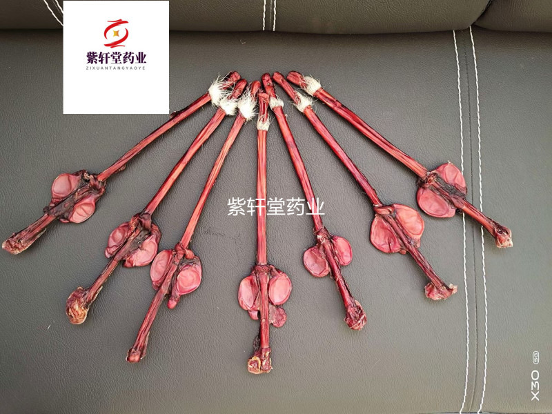 鹿鞭干鹿鞭整个泡酒料
