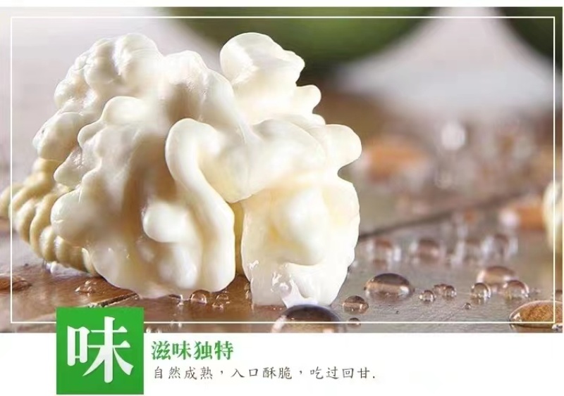 2023云南纸皮鲜核桃一件代发3/5/8斤