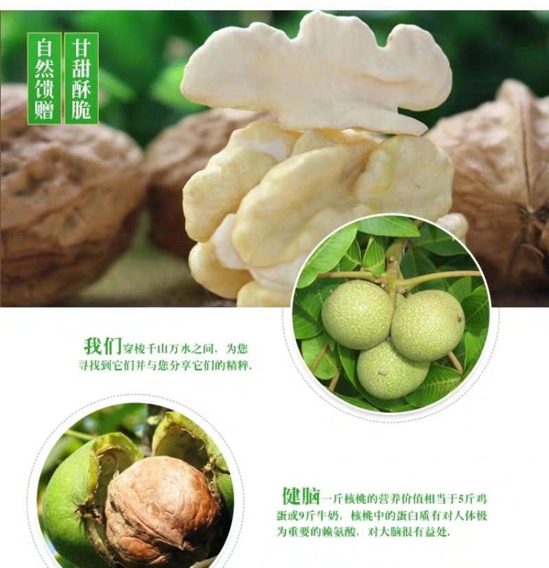 2023云南纸皮鲜核桃一件代发3/5/8斤