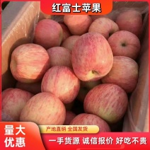 红富士苹果山东苹果产地批发，货源充足口感脆甜，量大从优