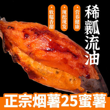 【热卖】糖化烟薯25蜜薯红薯地瓜产地直发烤薯店电商社区团购