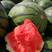 甜王西瓜，地雷西瓜，大量上市甜度高质量优。