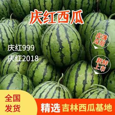 吉林庆红999，庆红2018西瓜大量上市包熟包甜全国发货