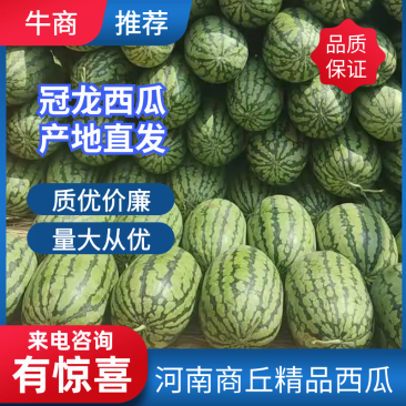 精品冠龙西瓜河南西瓜汁多肉甜，诚信经营，质优价廉