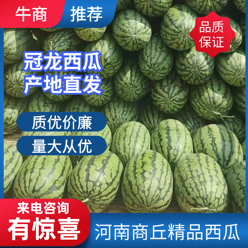 精品冠龙西瓜河南西瓜汁多肉甜，诚信经营，质优价廉