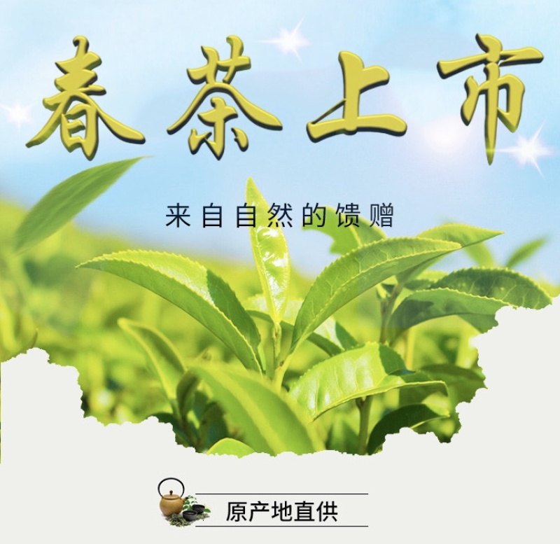 恩施硒绿茶2021新茶毛峰直条绿茶春茶高山云雾茶浓香