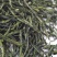 恩施硒绿茶2021新茶毛峰直条绿茶春茶高山云雾茶浓香