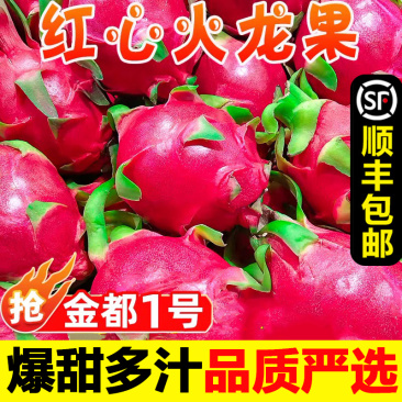 福建金都1号红心火龙果批发质好价优商超电商**