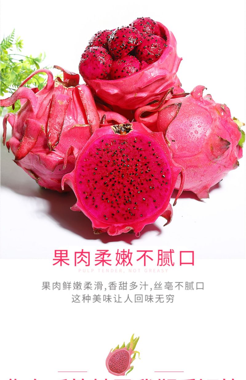 福建金都1号红心火龙果批发质好价优商超电商**