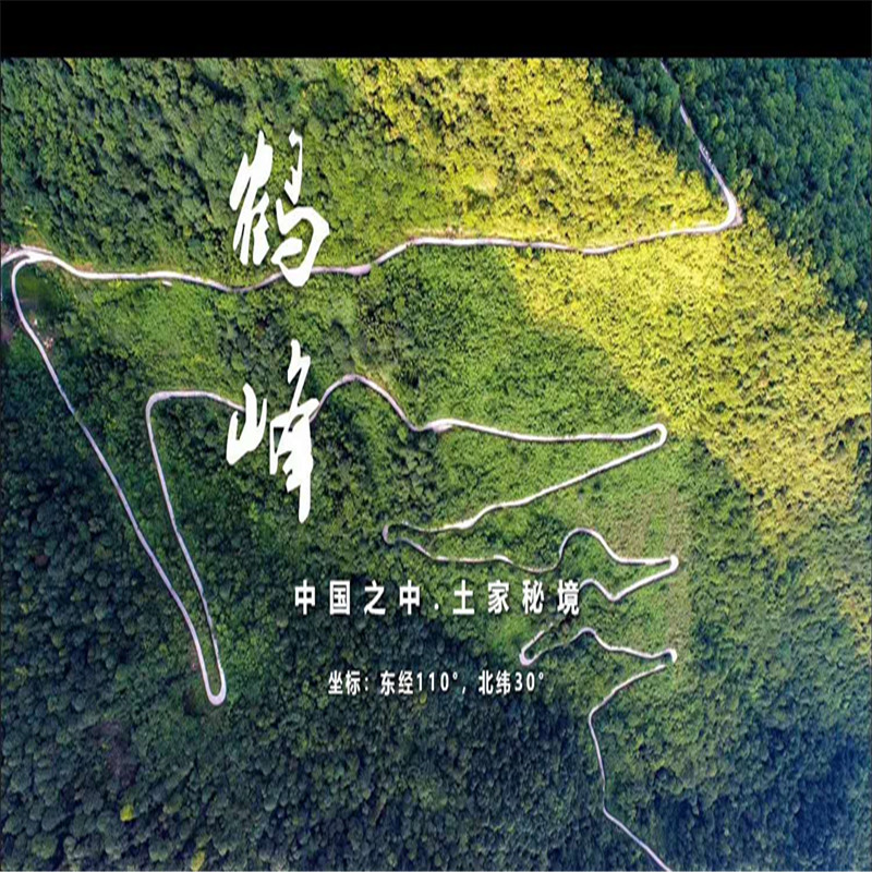 高端礼品茶恩施硒茶礼品装绿茶红茶厂家原产地直供