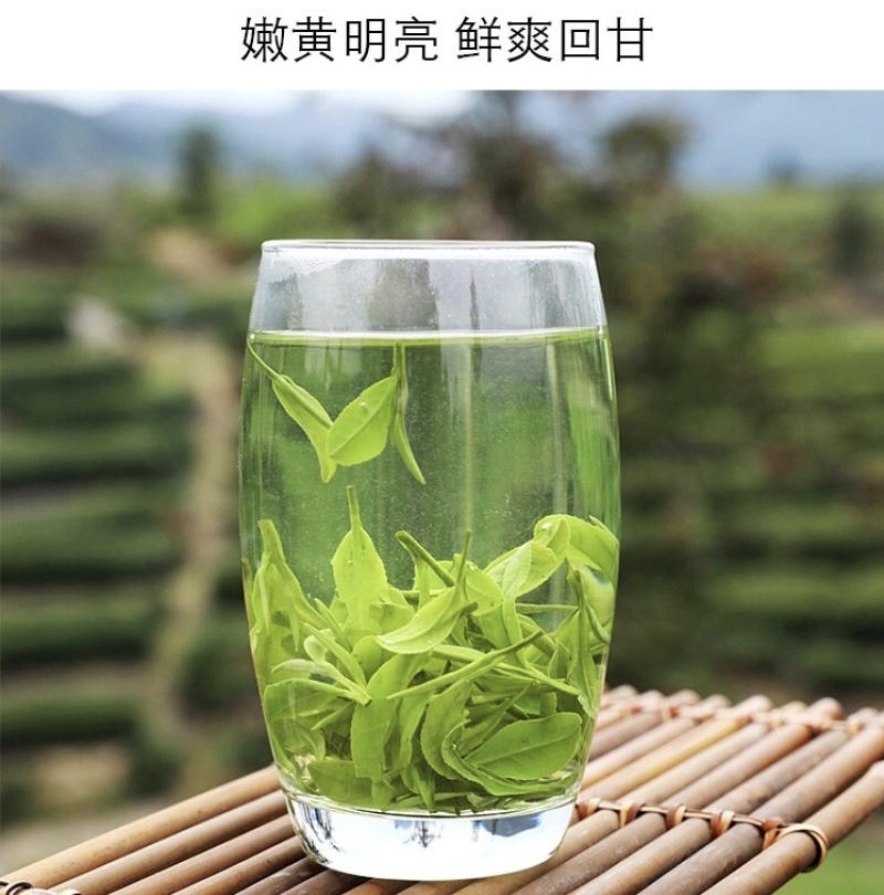 高端礼品茶恩施硒茶礼品装绿茶红茶厂家原产地直供