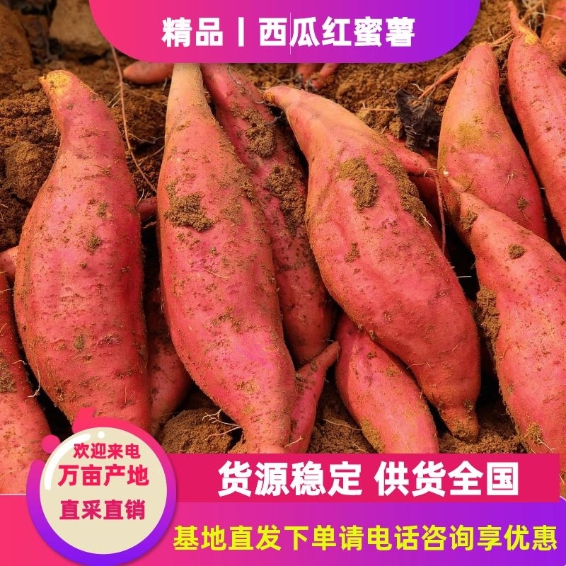 开封西瓜红蜜薯，基地直销，质量好价格优，货源稳定供货全国