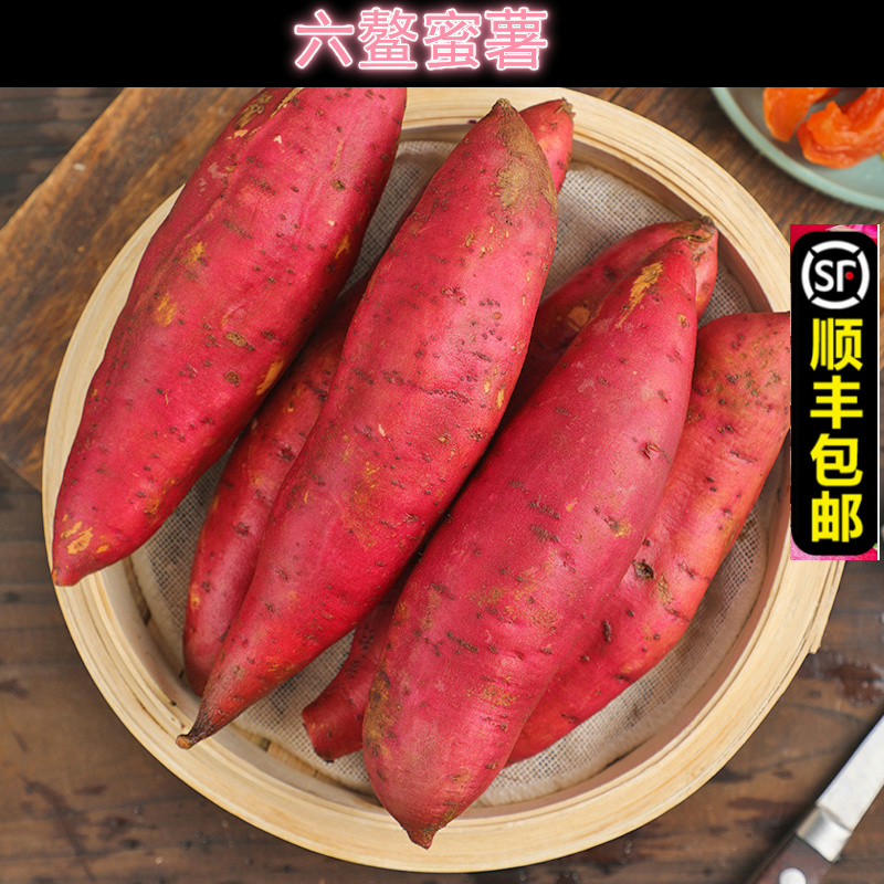 福建六鳌红薯番薯蜜薯