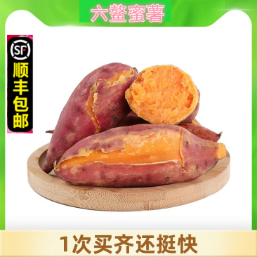 福建六鳌红薯番薯蜜薯